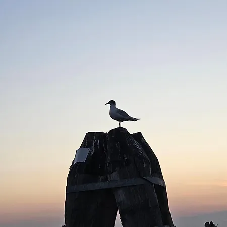Rocca Storica *